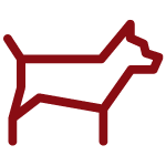 Animaux acceptés